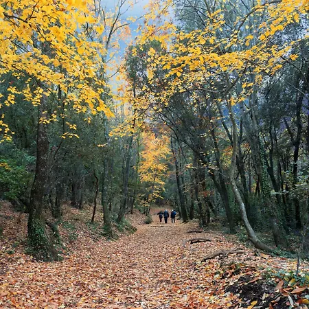 Rincón De Piedra Bcn *